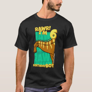Rawr Ich bin 6 Geburtstagskinder 6. Geburtstag Din T-Shirt