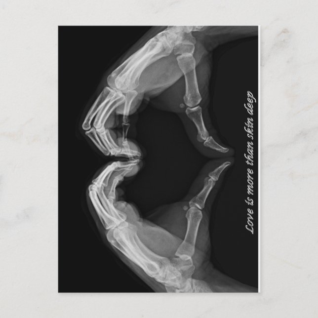 Ray Art Postkarte (Vorderseite)