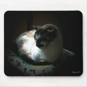 Ray of Sun Napping Kitty Mousepad