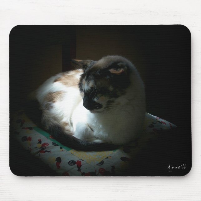 Ray of Sun Napping Kitty Mousepad (Vorne)