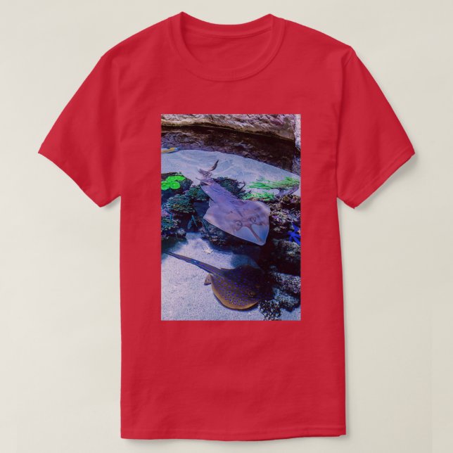 Rays at AWQA T-Shirt (Design vorne)