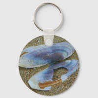 Razor Clam Muschel, Oregon