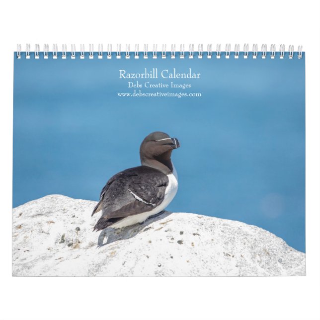 Razorbill-Kalender 2026 Kalender (Titelbild)