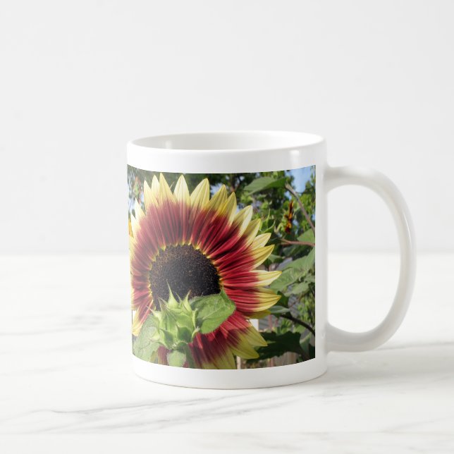 Razzmatazz-Sonnenblume Kaffeetasse (Rechts)