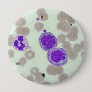 rbcs wbcs Dia Labrador Mikroskophämatologie Button