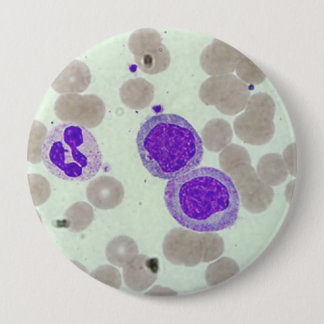 rbcs wbcs Dia Labrador Mikroskophämatologie Button