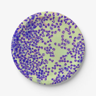 rbcs wbcs Dia Labrador Mikroskophämatologie Pappteller