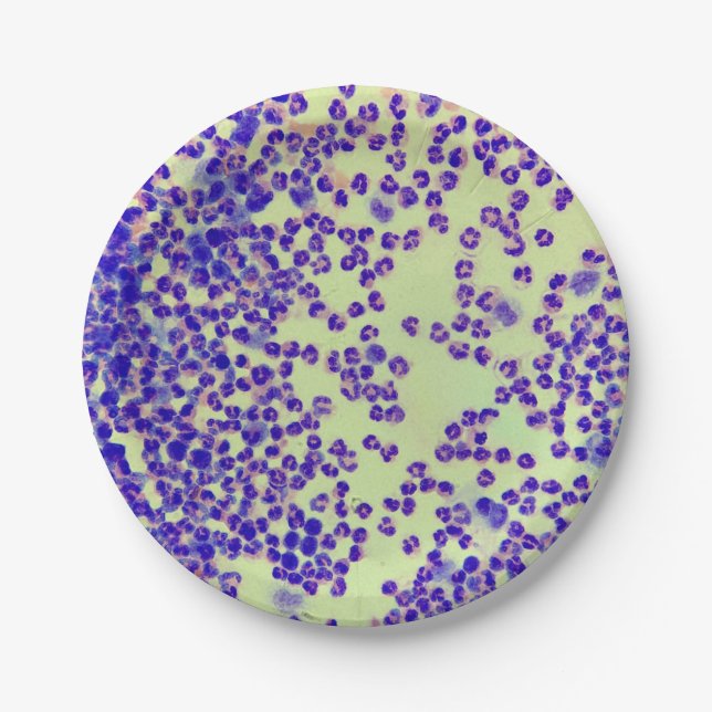 rbcs wbcs Dia Labrador Mikroskophämatologie Pappteller (Vorderseite)