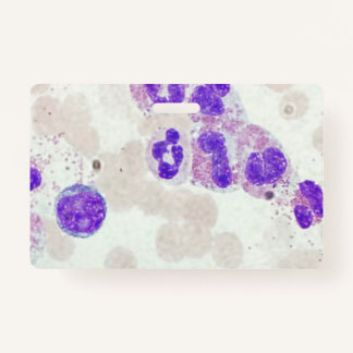 RBCs WBCs Slide Microscope Hämatology Labrador Ausweis