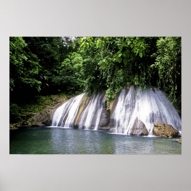 Reach Falls, Port Antonio, Jamaika Poster (Vorne)