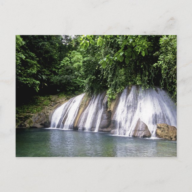Reach Falls, Port Antonio, Jamaika Postkarte (Vorderseite)
