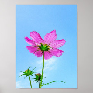 Reaching for Life Poster