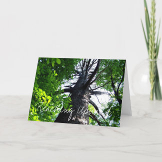 Reaching Upwards Karte