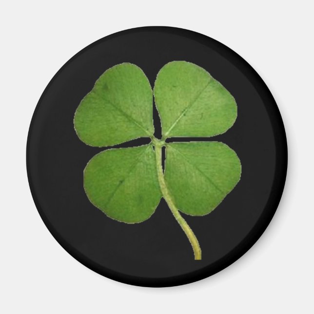 Real 4 Leaf Clover Kleeblatt Black Magnet (Vorne)