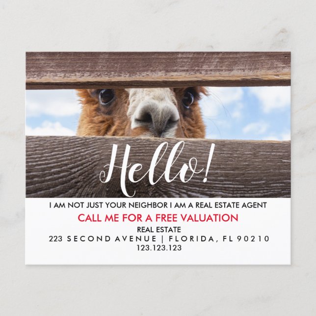 Real Anwesen Agent HELLO CARD Flyer (Vorne)