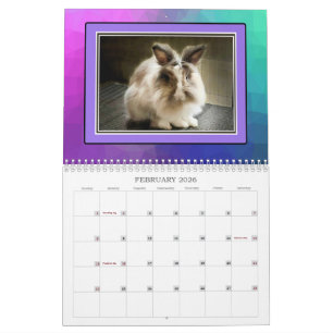 REAL BUNIES 2026 KALENDER