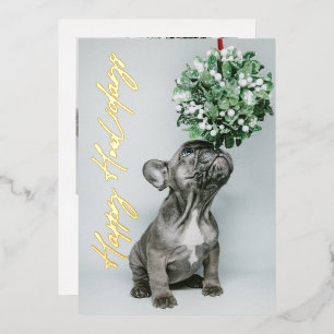 *REAL FOIL* Gold Happy Howlidays 2-Foto Pet Dog Folien Feiertagskarte