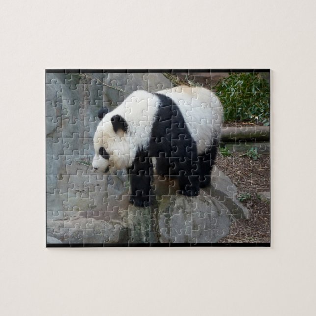 Real Foto Panda Bear Jigsaw Puzzle (Horizontal)