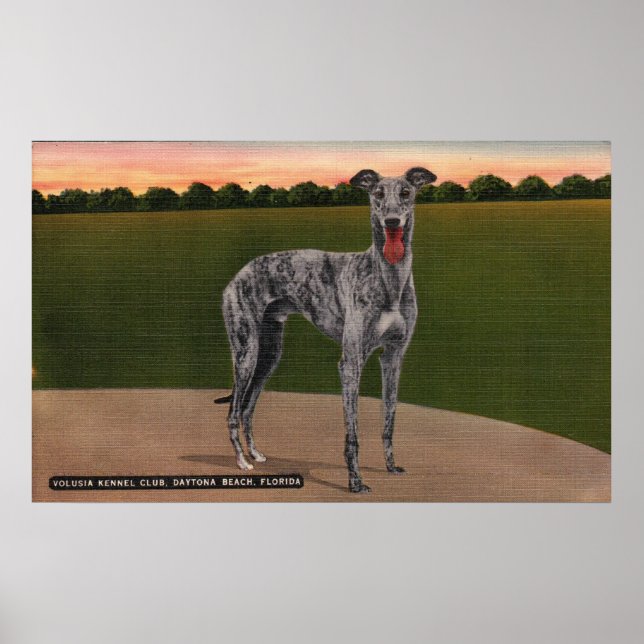 REAL HUNTSMAN Famous Greyhound Dog Poster (Vorne)