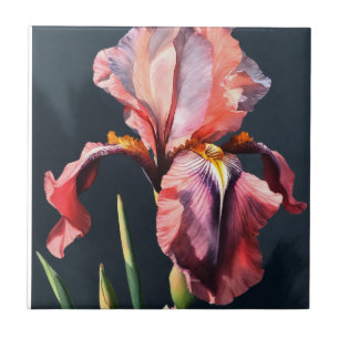 Real Light Pastel Crimson Pink Iris Keramik Tiles Fliese