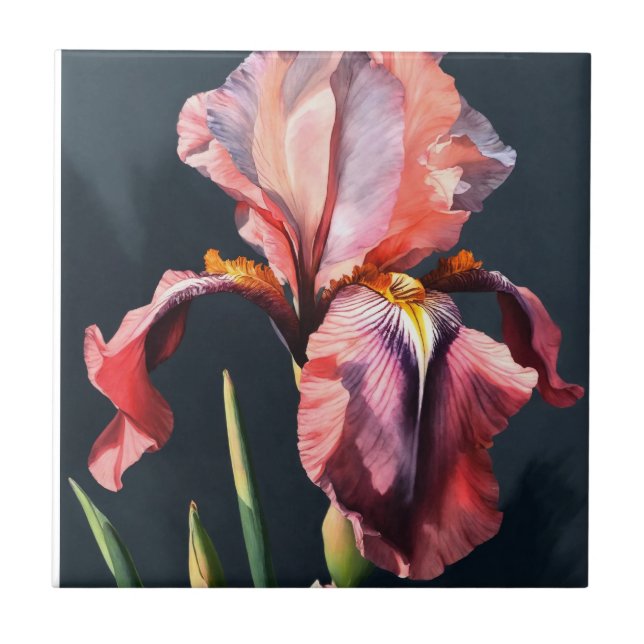 Real Light Pastel Crimson Pink Iris Keramik Tiles Fliese (Vorderseite)