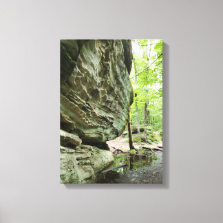 Real Nature Canvas Print | Misty Forest Home Decor Leinwanddruck