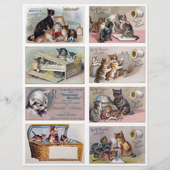 Real (not AI) Helena Maguire Inspired Trade Cards (Vorderseite)