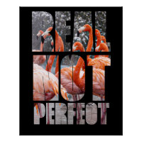 Real Not Perfect Zitat Flamingo Tropical Birds Pos