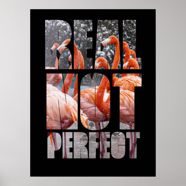 Real Not Perfect Zitat Flamingo tropische Vögel Poster (Vorne)