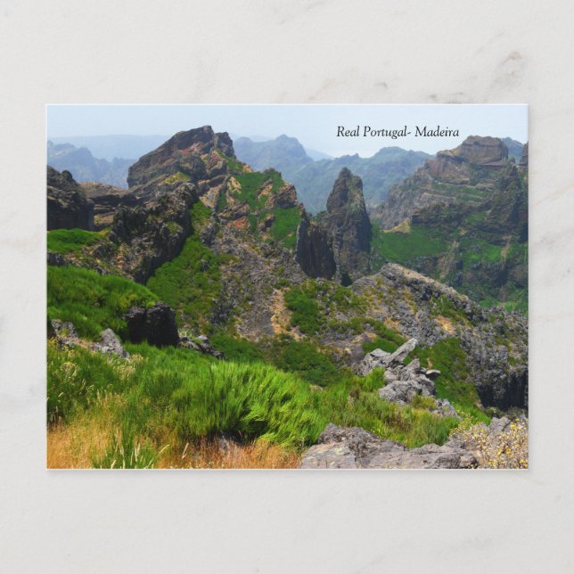 Real Portugal - Madeira Postkarte (Vorderseite)