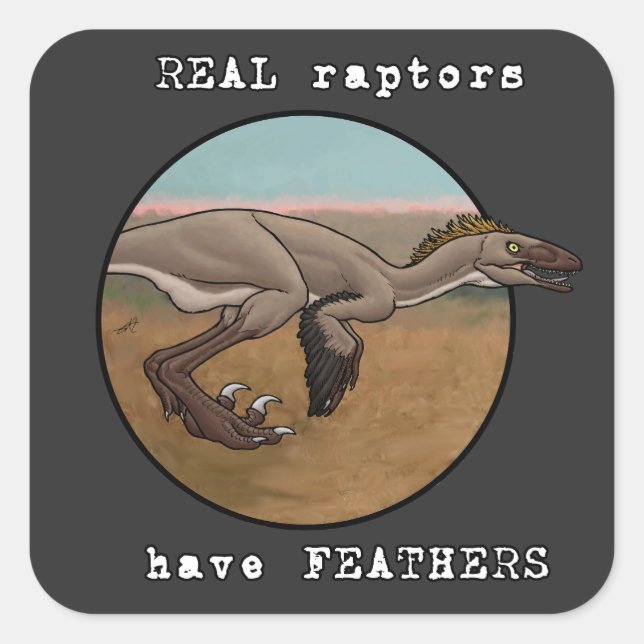 Real Raptors Quadratischer Aufkleber (Vorderseite)