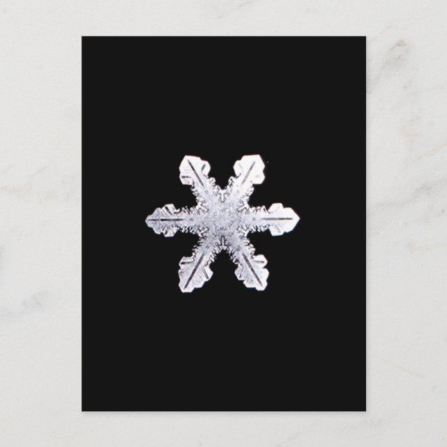 Real Snowflake Picture Postkarte (Vorderseite)
