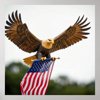 REALGESCHÄFTSGLEICH MIT AMERIKANISCHER FLAGGE POSTER