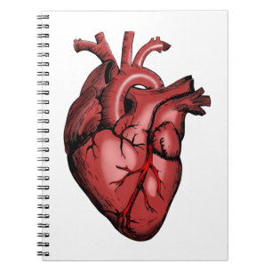 Realistic Anatomical Heart Image Notizblock