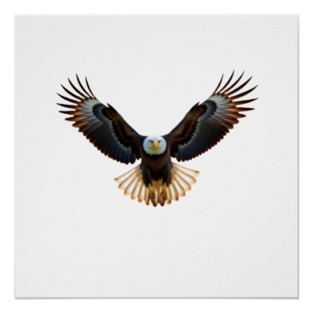 Realistic Eagle in Flight – Cinematic Wildlife Art Poster (Vorderseite)