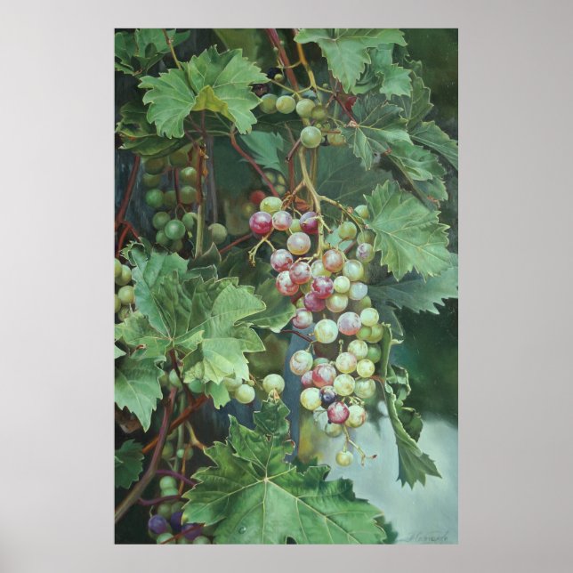 Realistic Grape Vine with Leaves – Fine Art Poster (Vorne)
