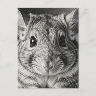 Realistische Chinchilla-Porträt-Skizze Postkarte