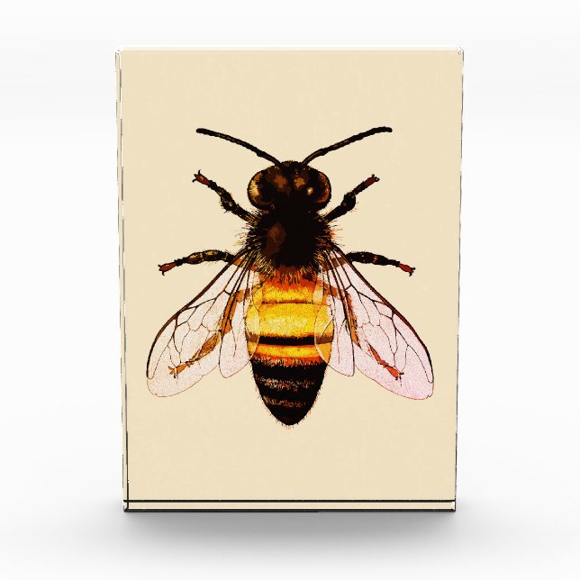 Realistische Honey Bee Art Illustration Fotoblock (Vorderseite)