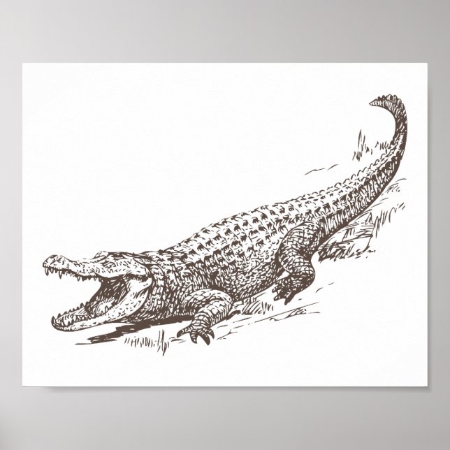Realistische Illustration des Alligators Poster (Vorne)
