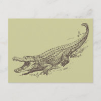 Realistische Illustration des Alligators