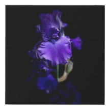 Realistische Iris-Wall-Leinwand