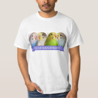 Realistische Malerei der Budgerigars