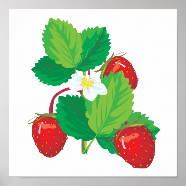 realistische saftige Erdbeeren Poster (Vorne)
