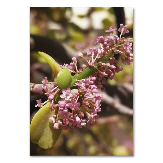 Realistische Umgebungsansicht Tischnummer (Rückseite)