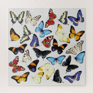 Realistische Vintage Schmetterlingssammlung. Puzzle