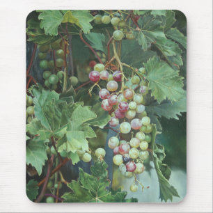 Realistische Weinrebe mit Blättern – Fine Art Mousepad
