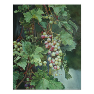 Realistische Weinrebe mit Blättern – Fine Art Poster