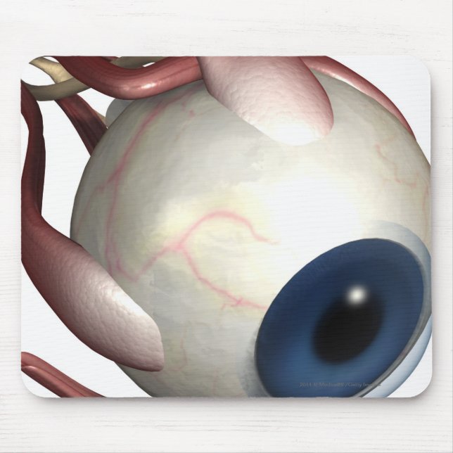 Realistische Wiedergabe der Muskeln des Auges Mousepad (Vorne)