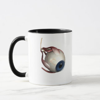 Realistische Wiedergabe der Muskeln des Auges Tasse