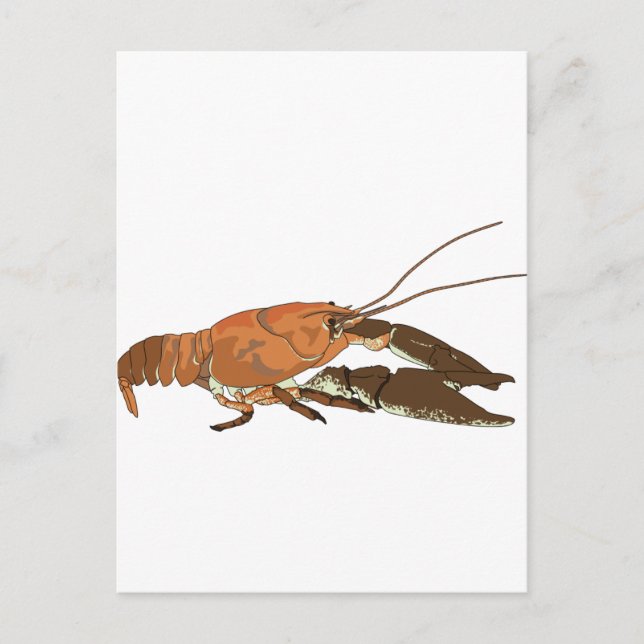 Realistischer Crayfish/Crawdad Postkarte (Vorderseite)
